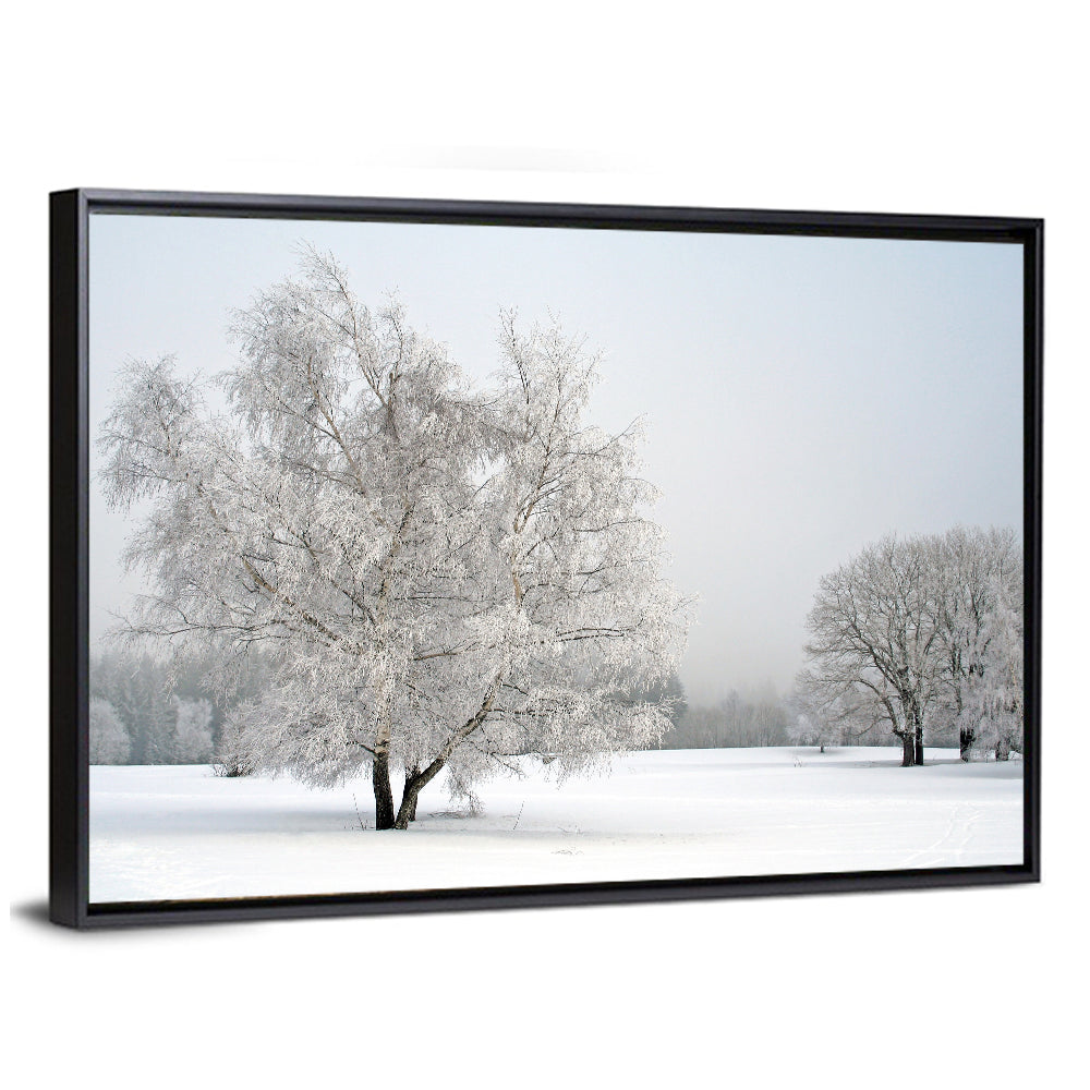 Frosted Birch Grove Wall Art