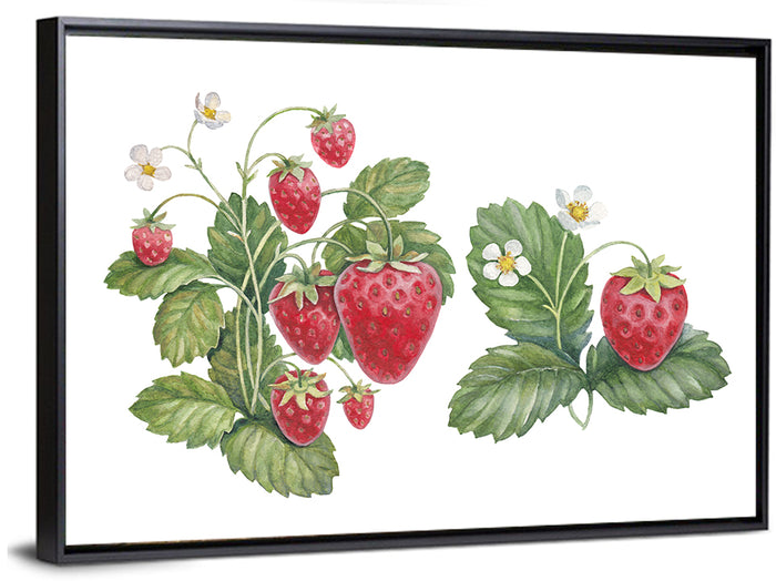 Fresh Strawberry Botanical Illustration Wall Art as a framed canvas