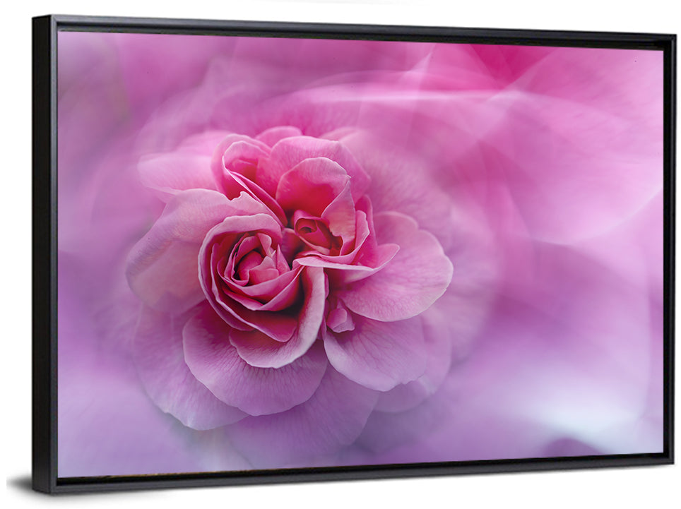 Ethereal Pink Rose Bloom Wall Art