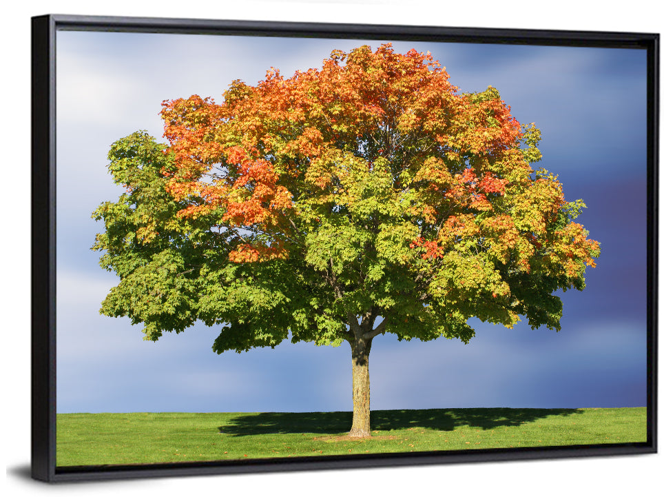 Maple with Split Foliage Wall Art