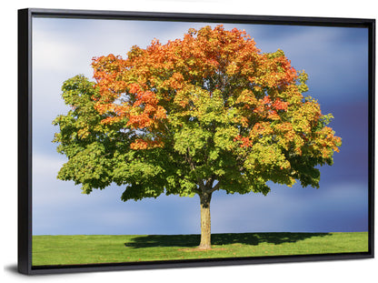 Maple with Split Foliage Wall Art