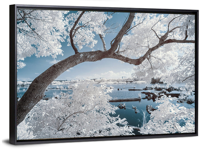 Curving Winter Tree Over Lake Wall Art as a framed canvas