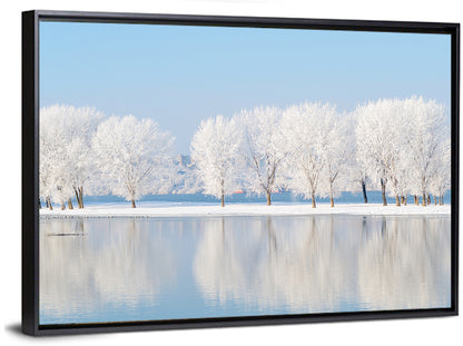 Frosted Winter Trees Reflected on a Quiet Lake Wall Art