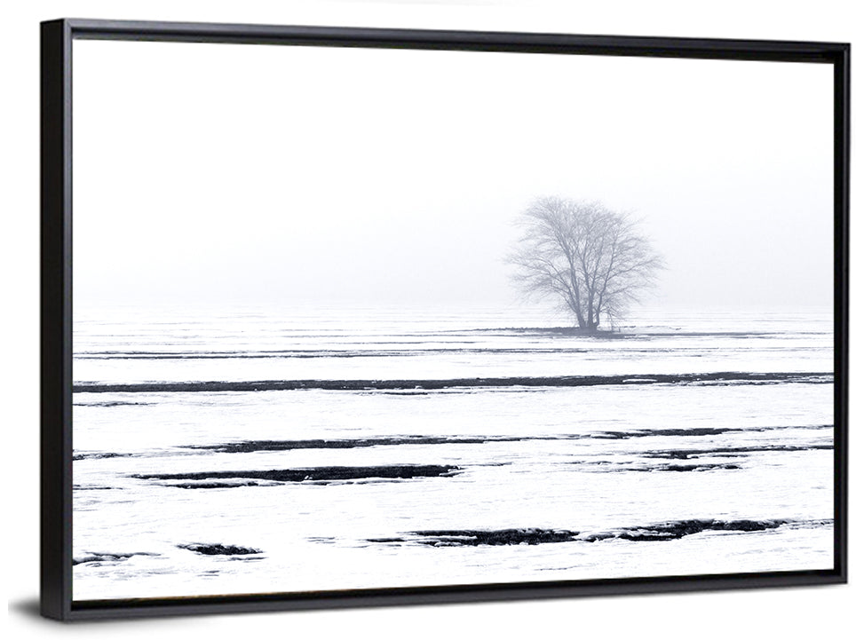Foggy Winter Field with Lone Tree Wall Art