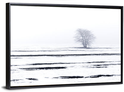 Foggy Winter Field with Lone Tree Wall Art