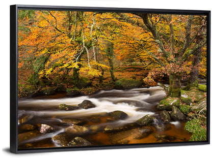 Dartmoor Autumn River in Golden Forest Wall Art