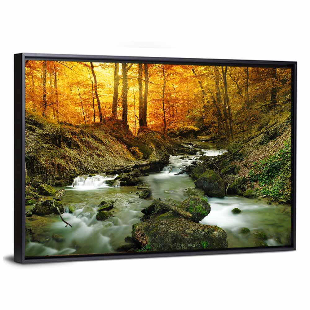 Sunlit Forest Stream Wall Art