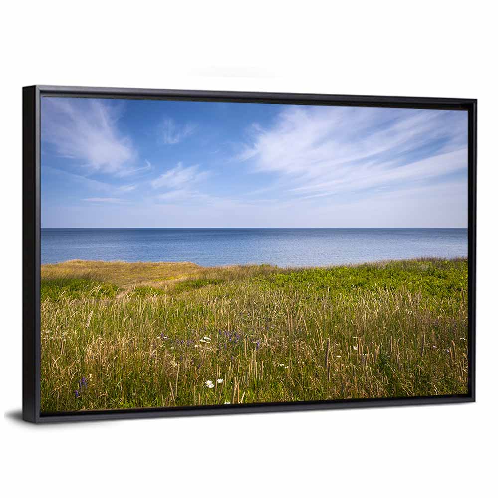 Atlantic Coastal Meadow Wall Art