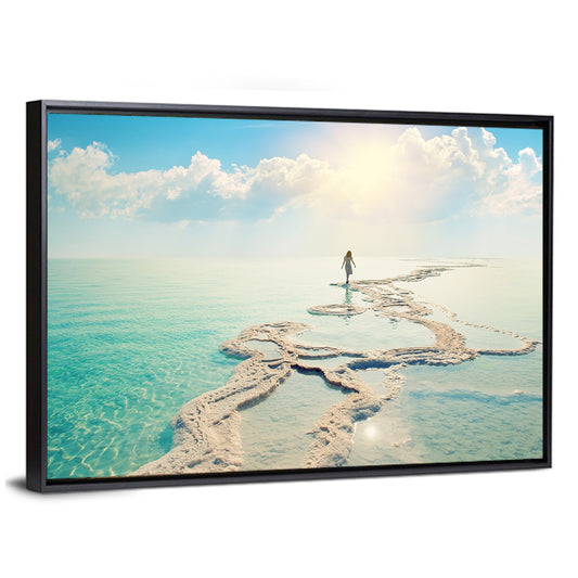 Dead Sea Salt Flats Wall Art