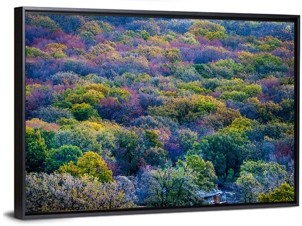 Autumn Canopy Forest with Cabin Roof Wall Art