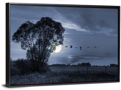 Moonlit Birds Over Quiet Field Wall Art