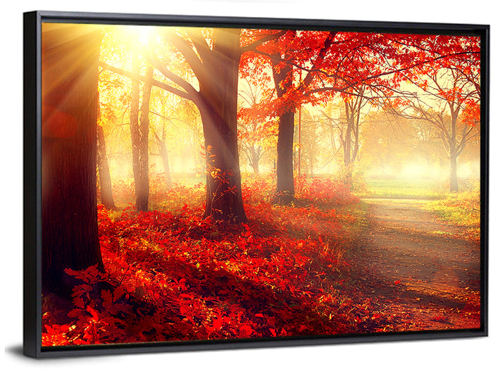Sunlit Forest Path Wall Art as a framed canvas