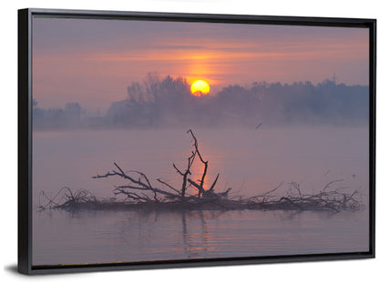 Misty Lake Sunrise with Fallen Tree Wall Art