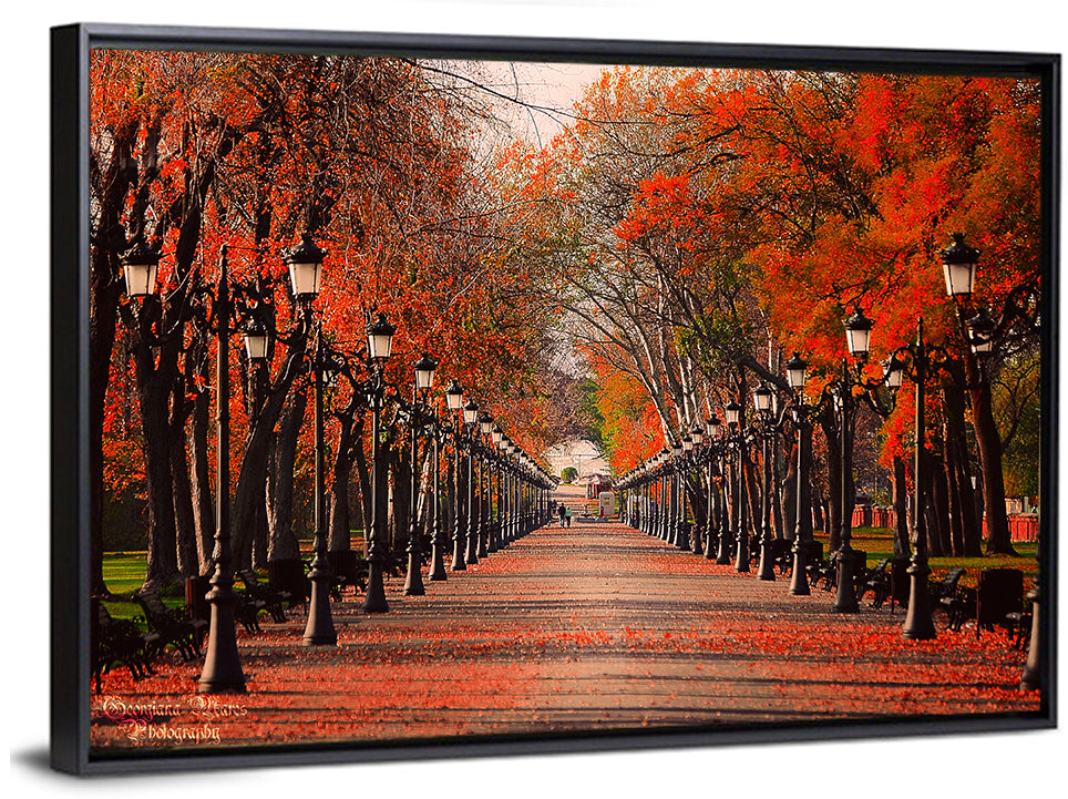 Autumn Park Path with Vintage Lampposts Wall Art