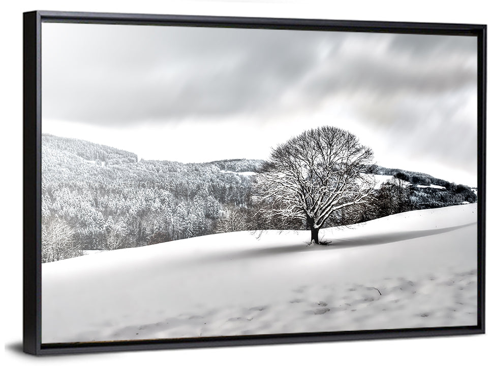 Solitary Snowy Tree Landscape Wall Art