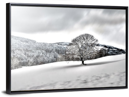 Solitary Snowy Tree Landscape Wall Art