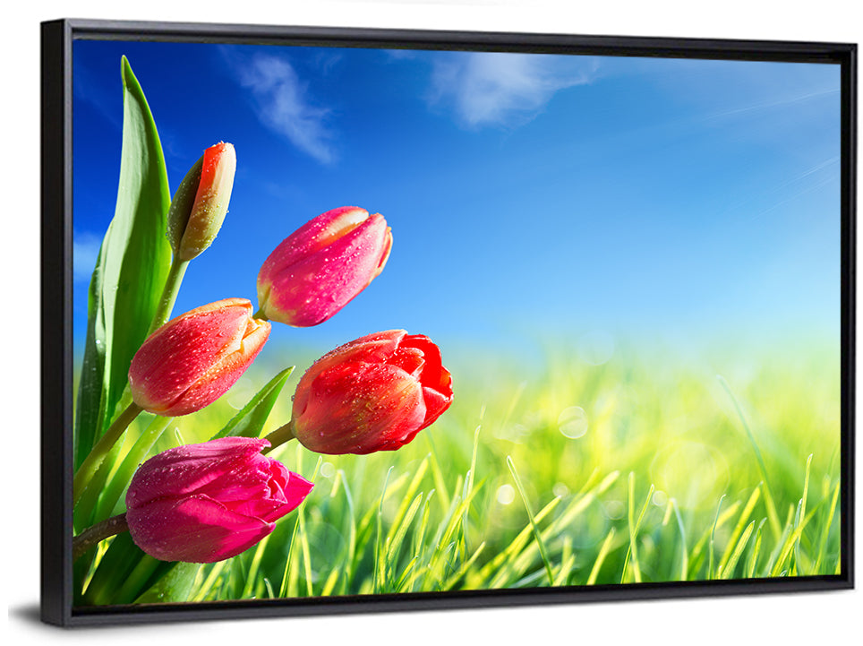 Dewy Red Tulips Under Blue Sky Wall Art