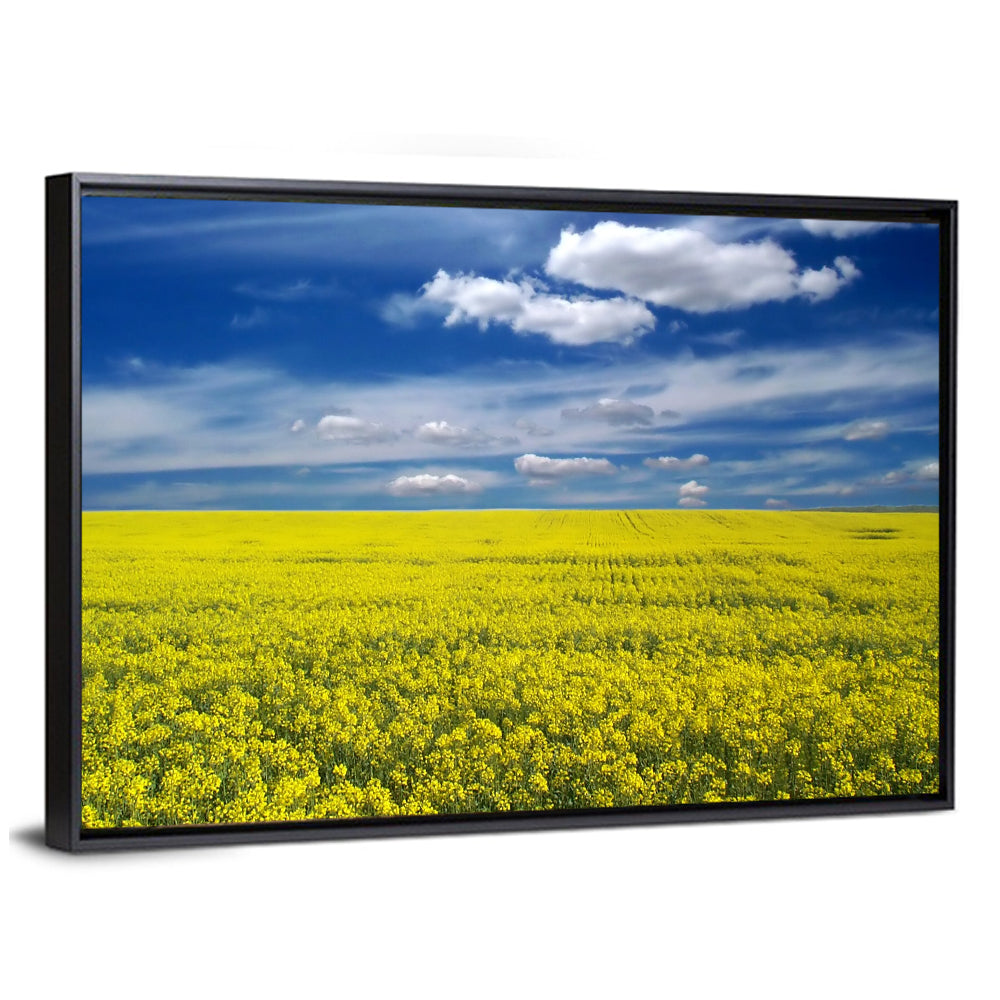 Sunlit Canola Field Wall Art