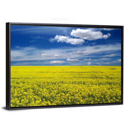 Sunlit Canola Field Wall Art
