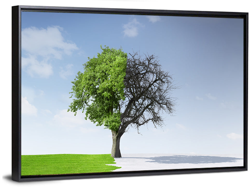 Split Seasons Tree Wall Art