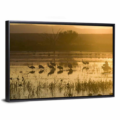 Golden Hour Sandhill Cranes on Lake Wall Art