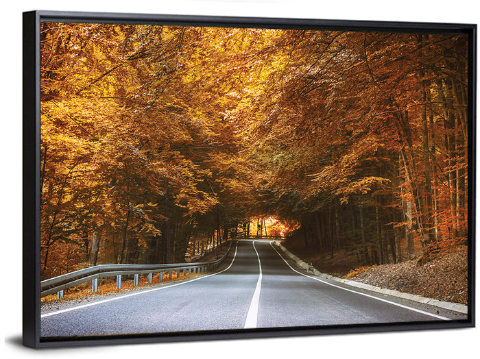 Autumn Forest Road with Canopy Wall Art as a framed canvas