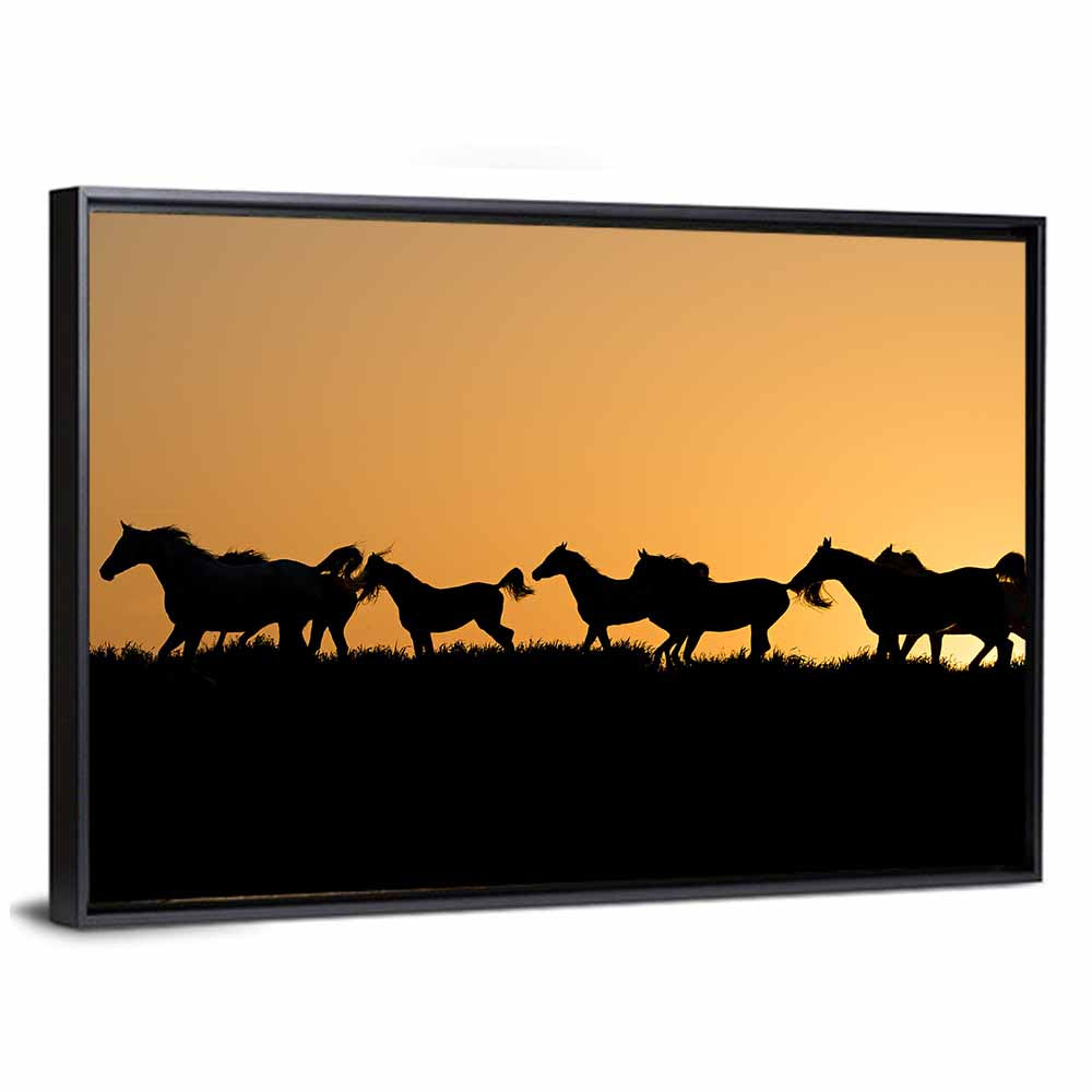 Arabian Horse Silhouettes at Sunset Wall Art