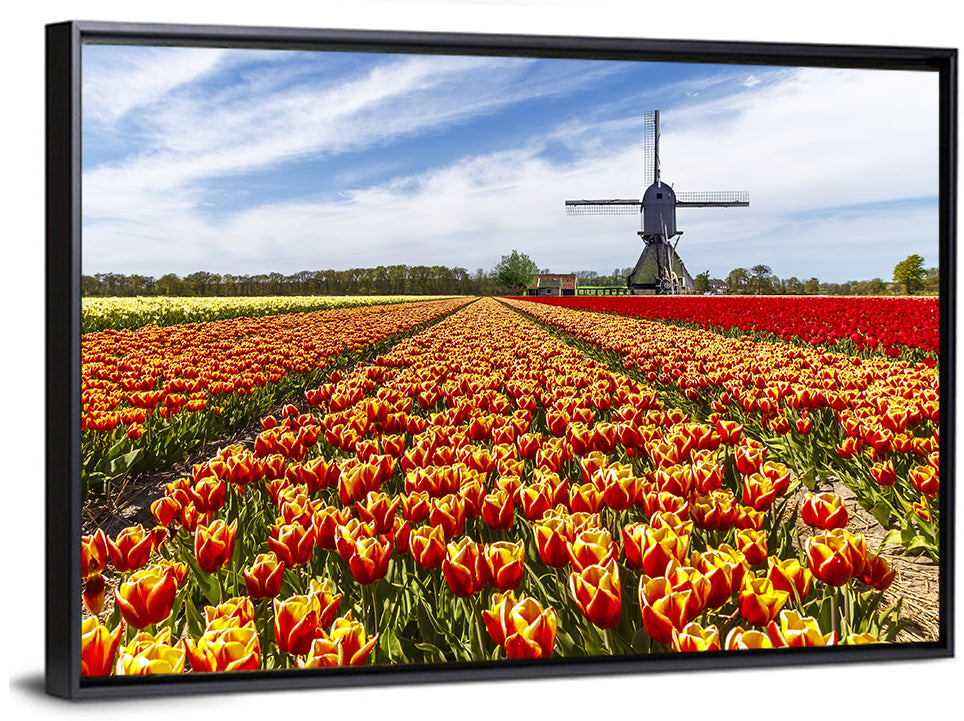 Windmill Over Tulip Fields Wall Art