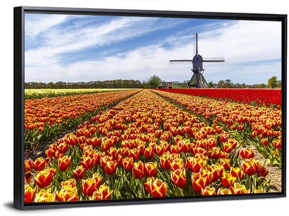 Windmill Over Tulip Fields Wall Art