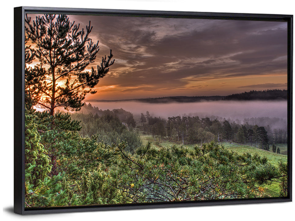 Misty Swedish Pine Valley Wall Art