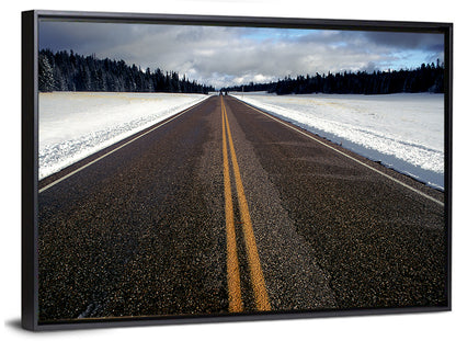 Winter Road Through Pine Forest Wall Art