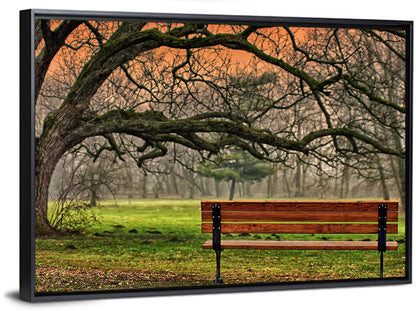 Misty Autumn Park Bench Wall Art