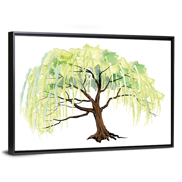 Weeping Willow Watercolor Sketch Wall Art as a framed canvas