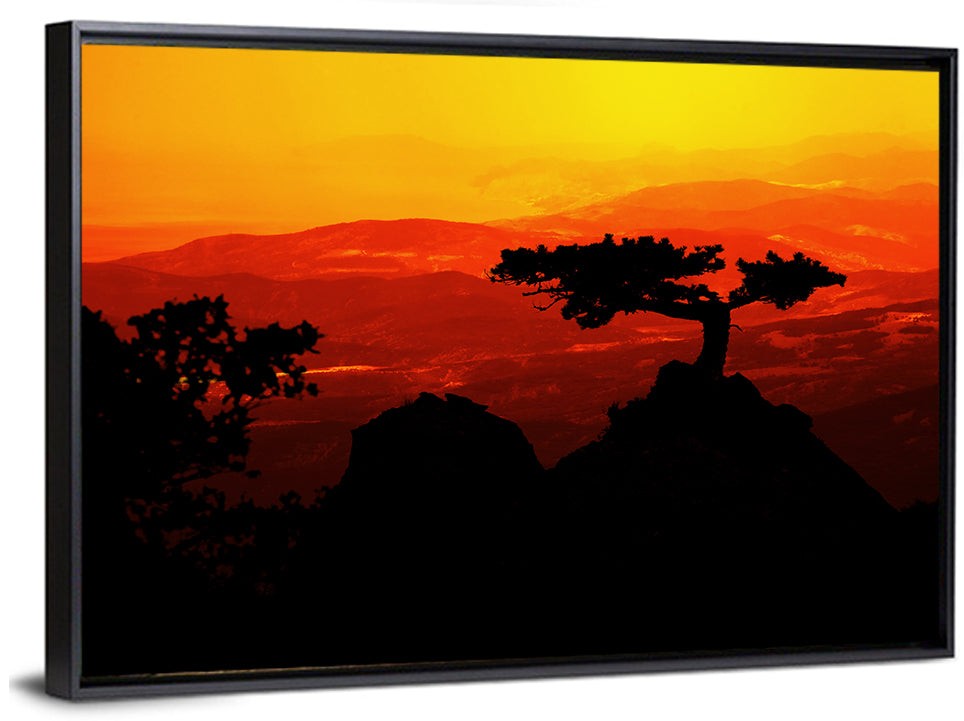 Gnarled Tree at African Sunset Wall Art