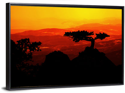 Gnarled Tree at African Sunset Wall Art