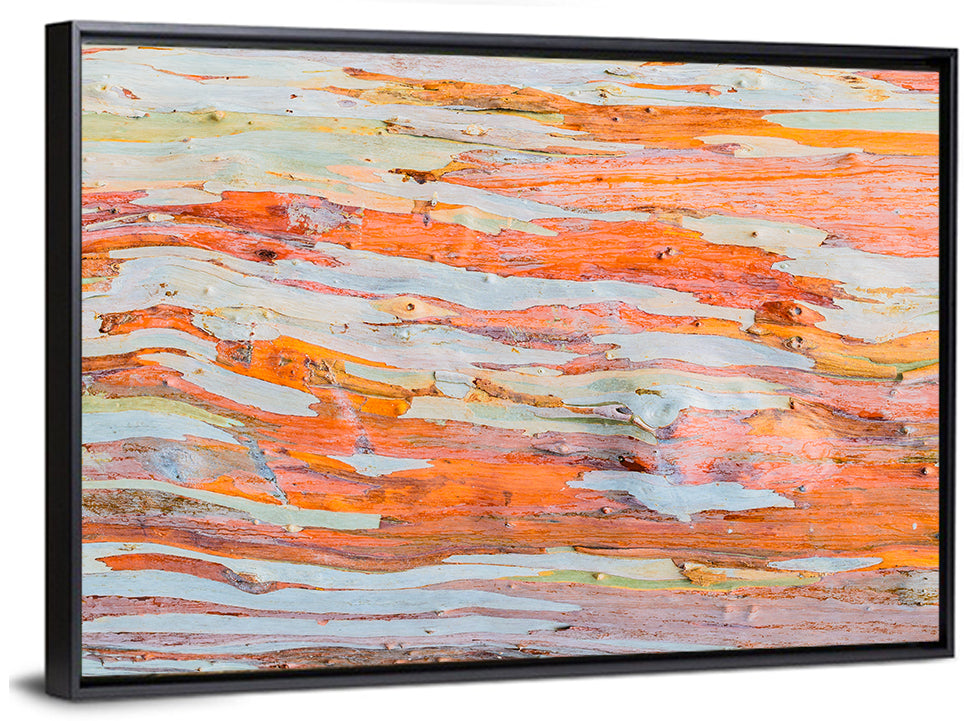Abstract Eucalyptus Bark Layers Wall Art