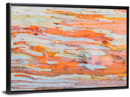 Abstract Eucalyptus Bark Layers Wall Art