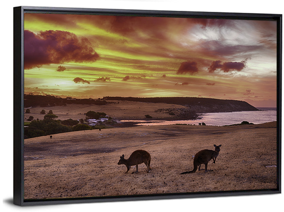 Two Kangaroos at Sunset Coast Wall Art