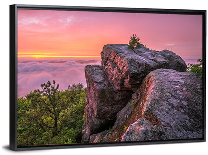 Pine Mountain Trail Wall Art