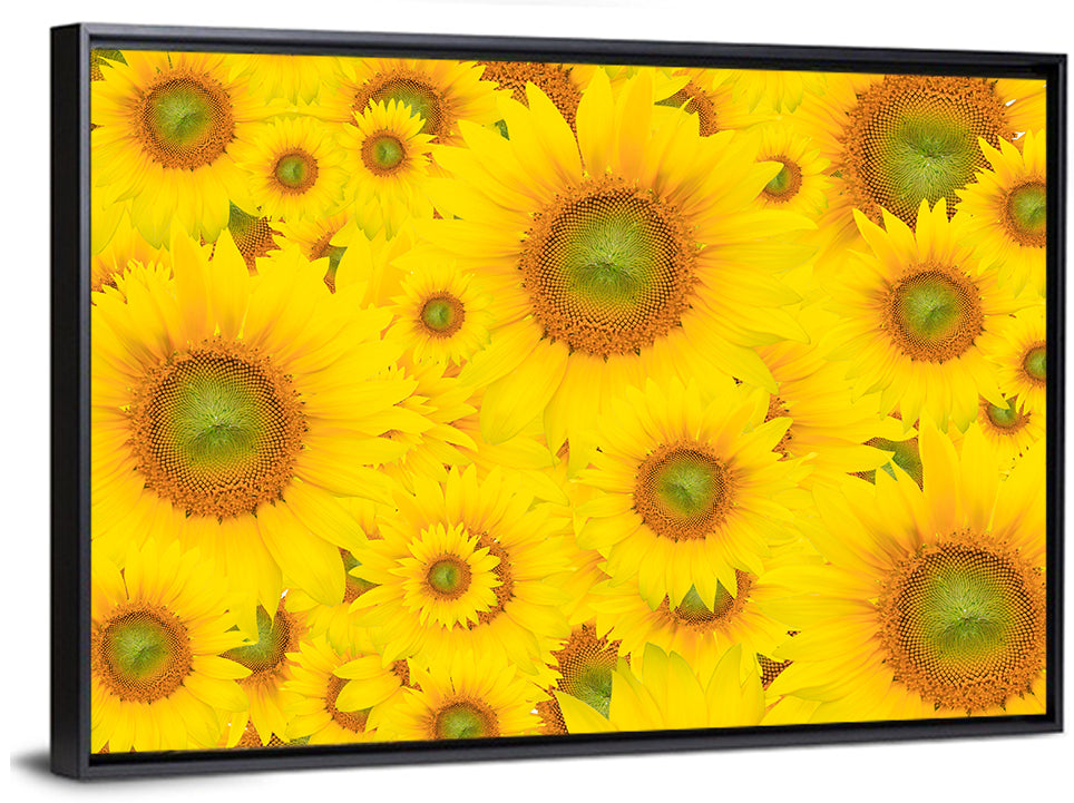 Sunflower Field Close-up in Yellow Wall Art