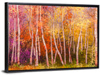 Vibrant Autumn Birch Grove Wall Art