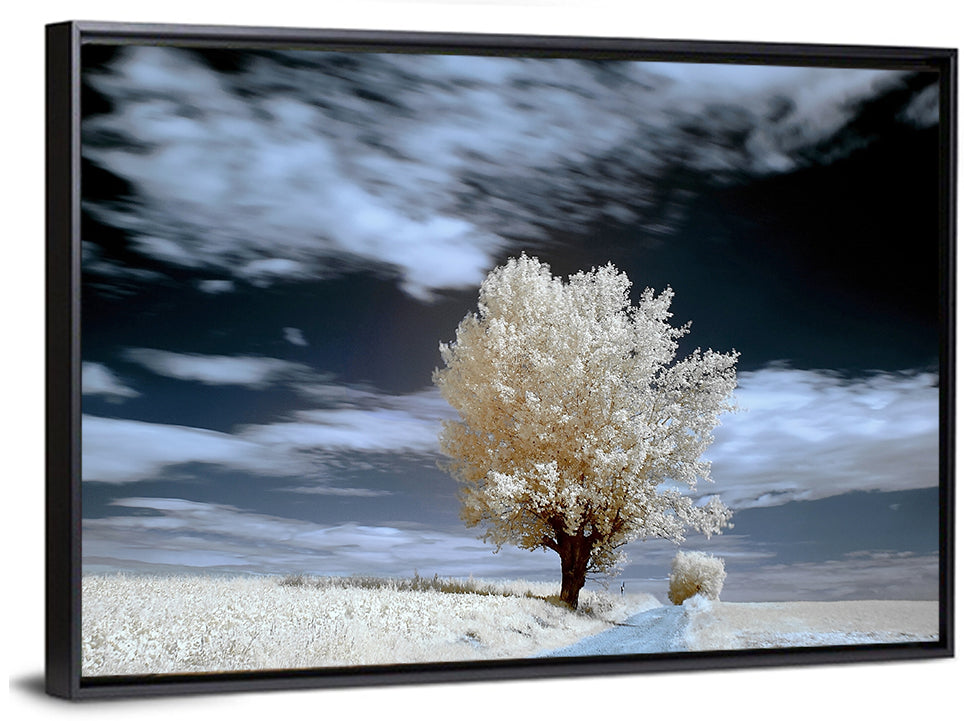 Infrared Winter Willow Tree Wall Art