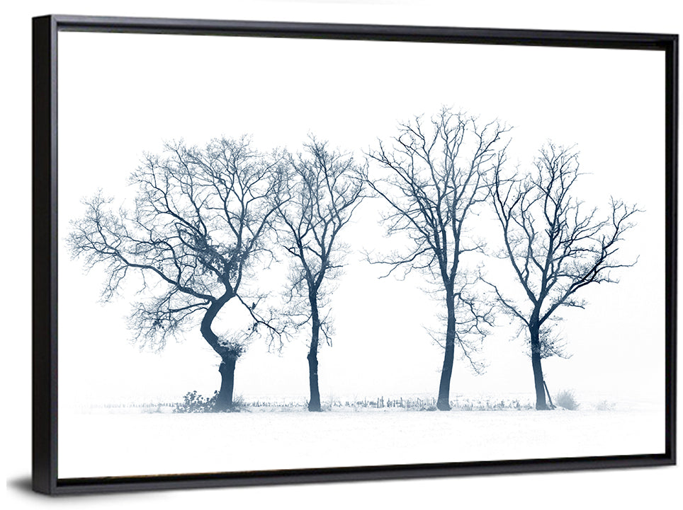 Four Bare Trees in Winter Wall Art