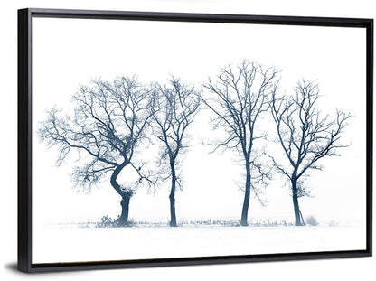Four Bare Trees in Winter Wall Art