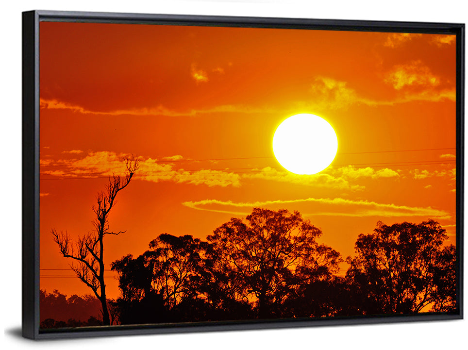 Burning Sun Over Tree Silhouettes Wall Art