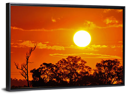 Burning Sun Over Tree Silhouettes Wall Art
