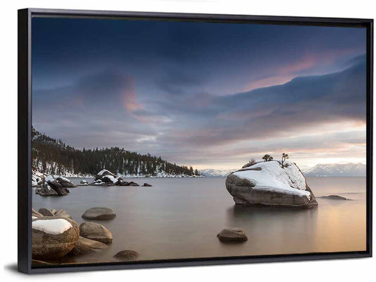Bonsai Rock Winter Sunset Wall Art