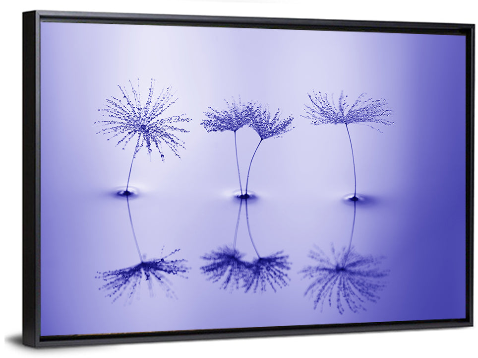 Blue Dandelion Seeds with Reflections Wall Art