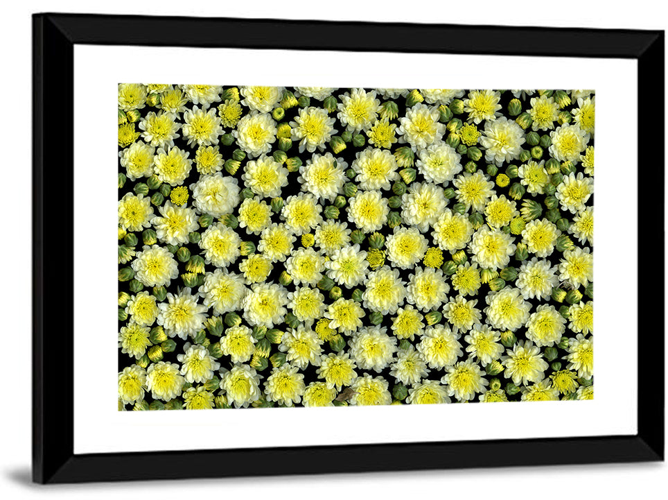 Yellow Chrysanthemum Bloom Pattern Wall Art