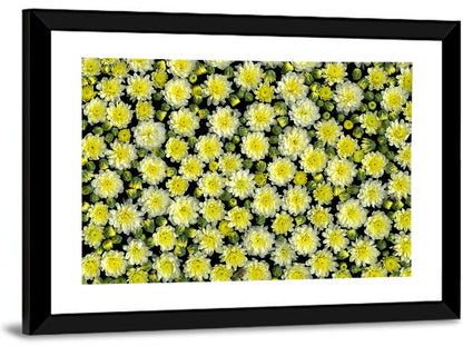 Blooming Spring Flowers Wall Art